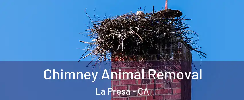 Chimney Animal Removal La Presa - CA