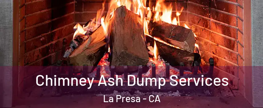  Chimney Ash Dump Services La Presa - CA