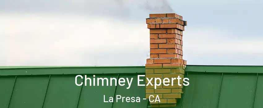 Chimney Experts La Presa - CA