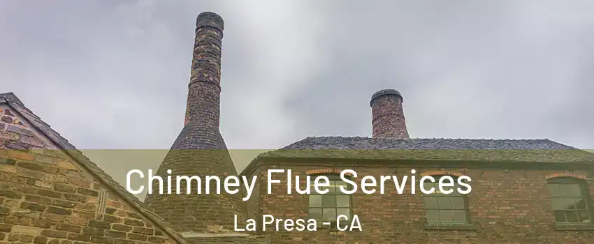  Chimney Flue Services La Presa - CA