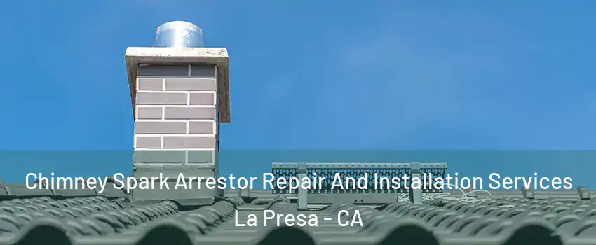  Chimney Spark Arrestor Repair And Installation Services La Presa - CA