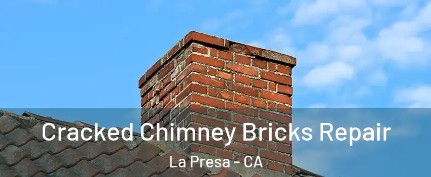  Cracked Chimney Bricks Repair La Presa - CA