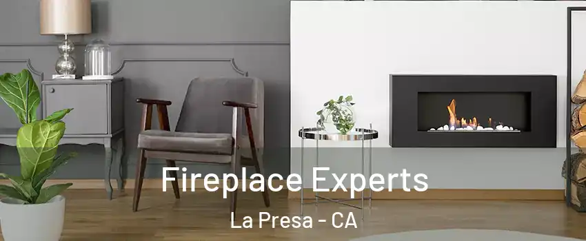  Fireplace Experts La Presa - CA