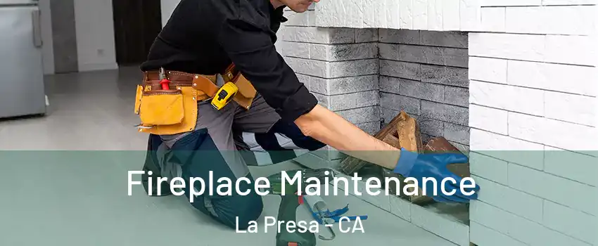  Fireplace Maintenance La Presa - CA