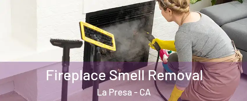  Fireplace Smell Removal La Presa - CA