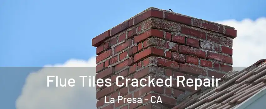  Flue Tiles Cracked Repair La Presa - CA