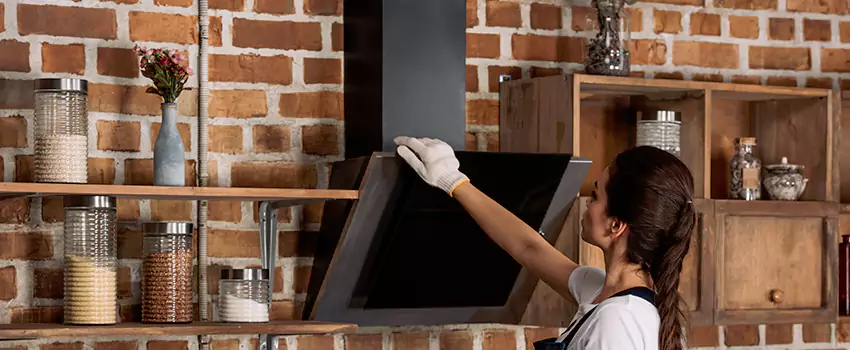 Chimney Installation in La Presa, CA