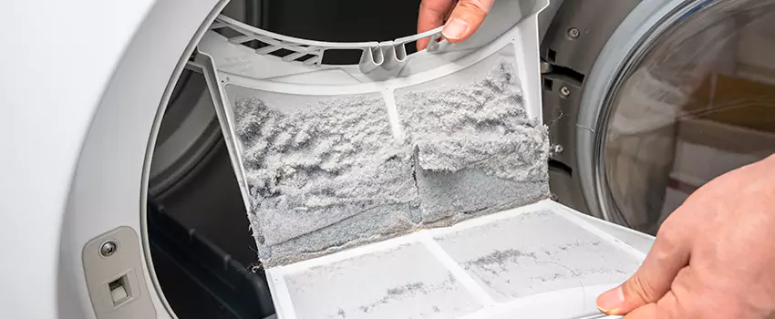 Best Dryer Lint Removal Company in La Presa, California